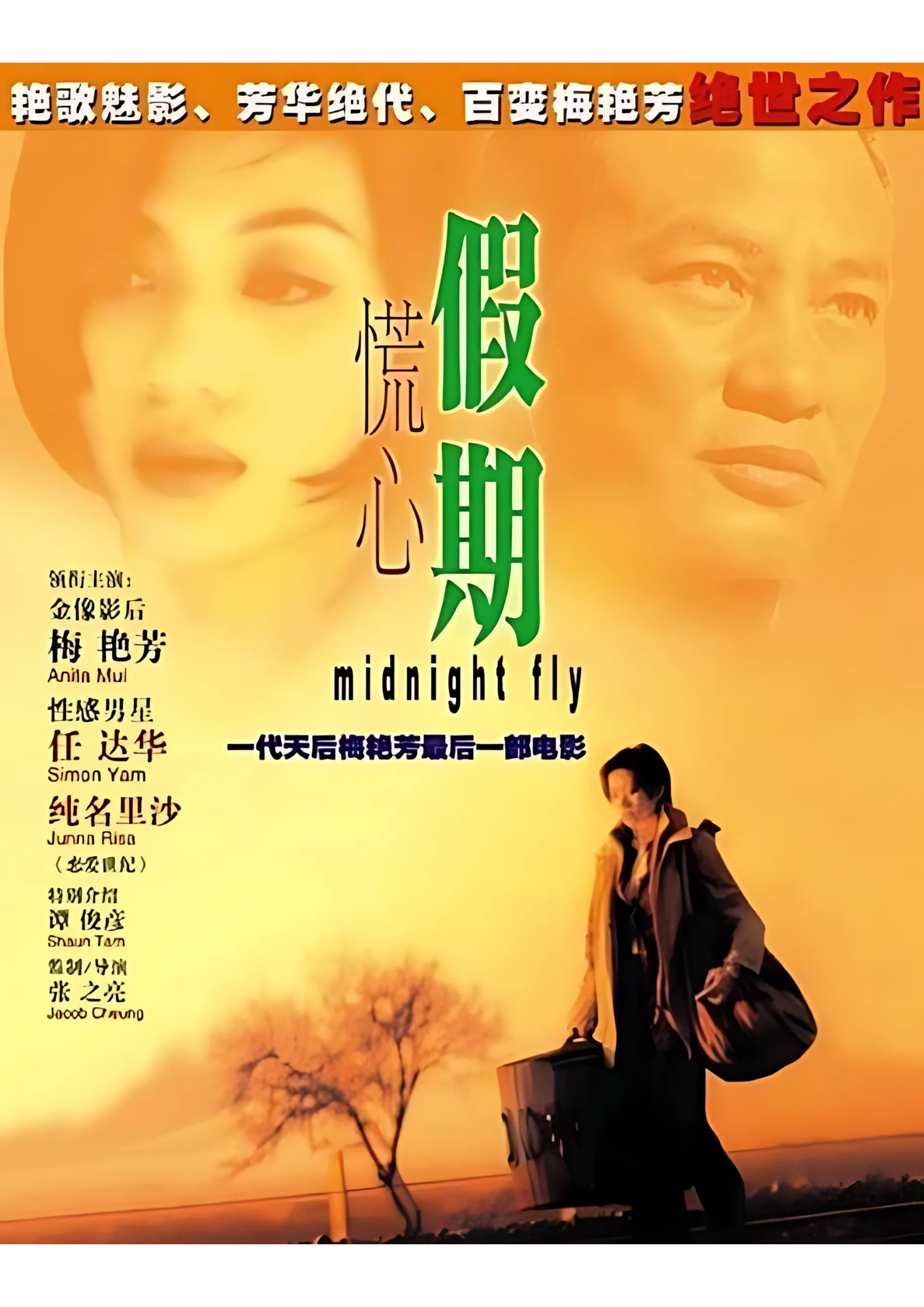 Midnight Fly